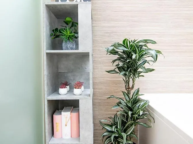 Апартаменты Loft Con Jacuzzi En Pleno Centro